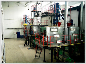 Fabricante de prensa de aceite de fácil operación/máquina para fabricar aceite en Bolivia