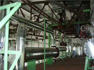 Máquina eléctrica de prensa de semillas de aceite de ricino de 8-180 tpd al por mayor