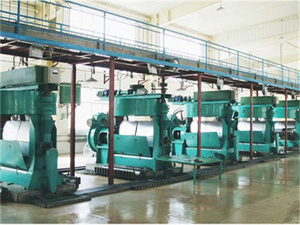 Máquina prensadora de aceite de maní de acero inoxidable hj-p07 en Nicaragua